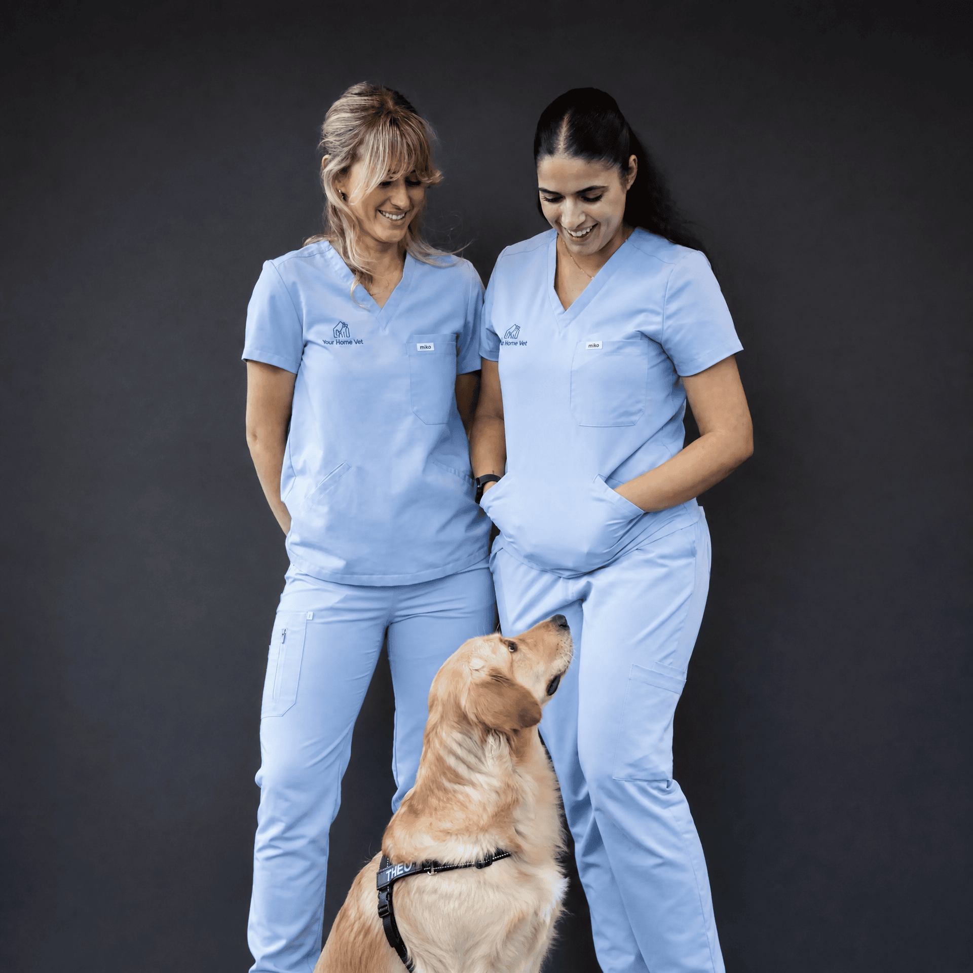 Vet examining a black dog at home with equipment laid out beside her